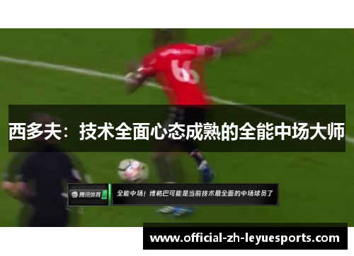 西多夫:技术全面心态成熟的全能中场大师 西多夫:技术全面心态成熟的全能中场大师