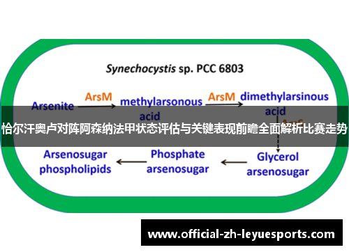 恰尔汗奥卢对阵阿森纳法甲状态评估与关键表现前瞻全面解析比赛走势