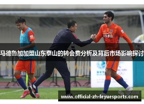 马德鲁加加盟山东泰山的转会费分析及背后市场影响探讨